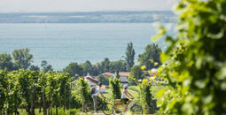 The Bodensee Card PLUS
