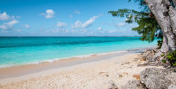 Grand Cayman, the Cayman Islands.