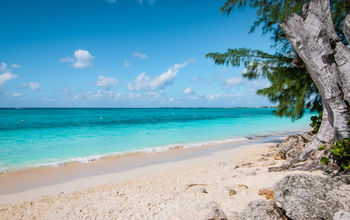 Grand Cayman, the Cayman Islands.