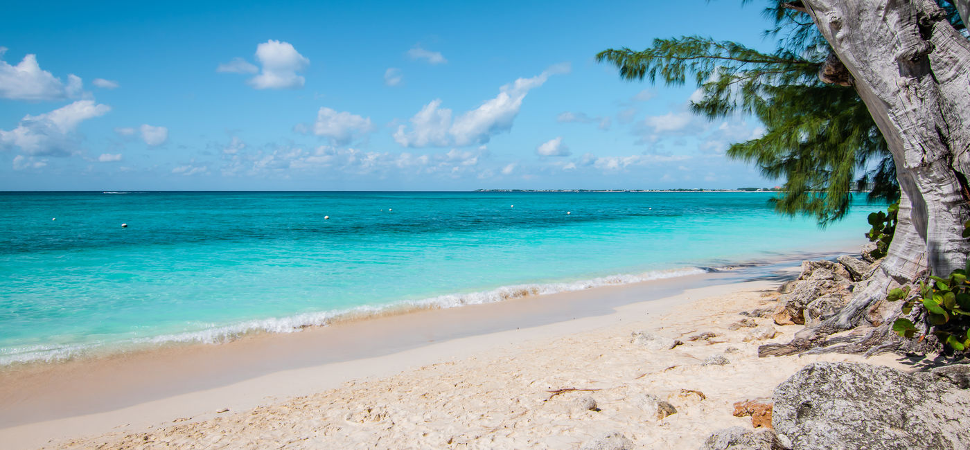 Image: Grand Cayman, the Cayman Islands. (Photo Credit: Nancy Pauwels / Adobe Stock)