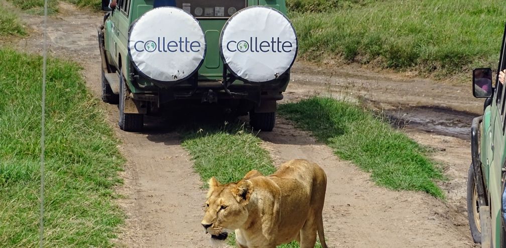 Collette says its guided safari itineraries are designed to simplify logistics.