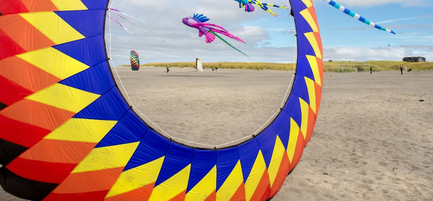 Image: Kites at the Washington State International Kite Festival (Photo Credit: Washington’s Evergreen Coast / Eva Bareis)