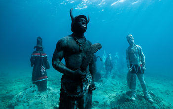 Coral Carnival 