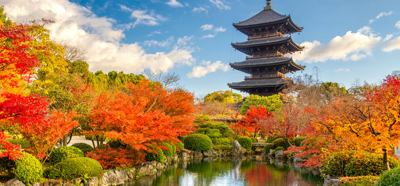 Exodus Adventure Current Offer

Image: The October sale applies to Exodus' global destinations. Pictured, Kyoto. (Source: Courtesy AdobeStock)