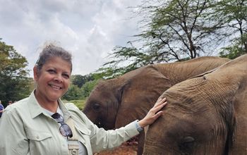 Camille Wilson - The Travel Agent Next Door