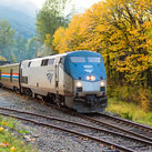 An Amtrak train in autumn.