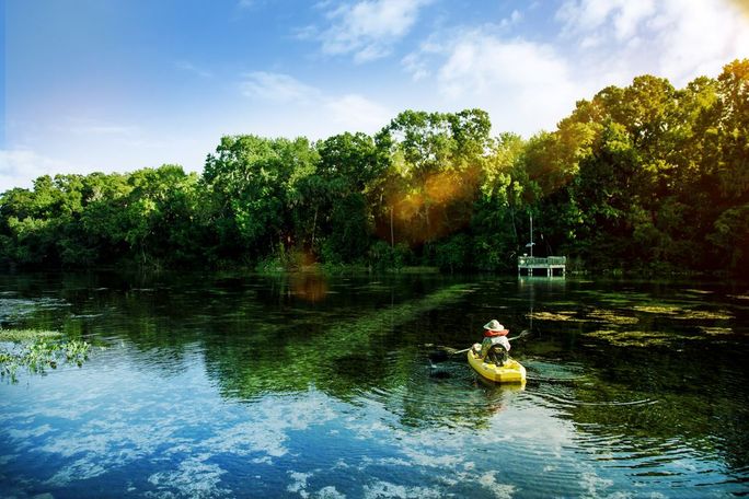 Eco-Tourism on Lake Dora Eco-Tourism on Lake Dora