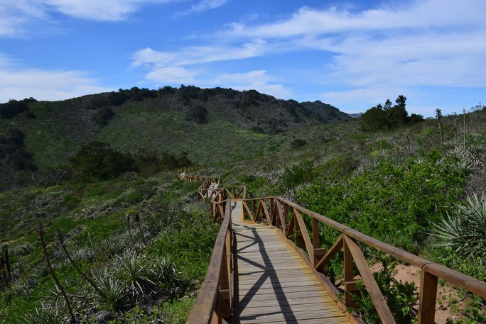 Fray Jorge National Park in Chile Fray Jorge National Park in Chile