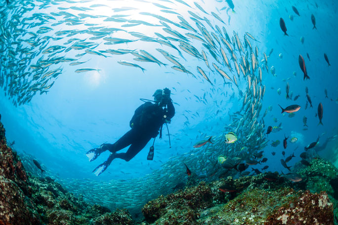 Ecuador, diver, diving, ocean, galapagos, galapagos island