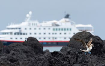 HX's FAM trips were held aboard the recently refurbished MS Santa Cruz II