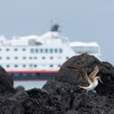 HX's FAM trips were held aboard the recently refurbished MS Santa Cruz II