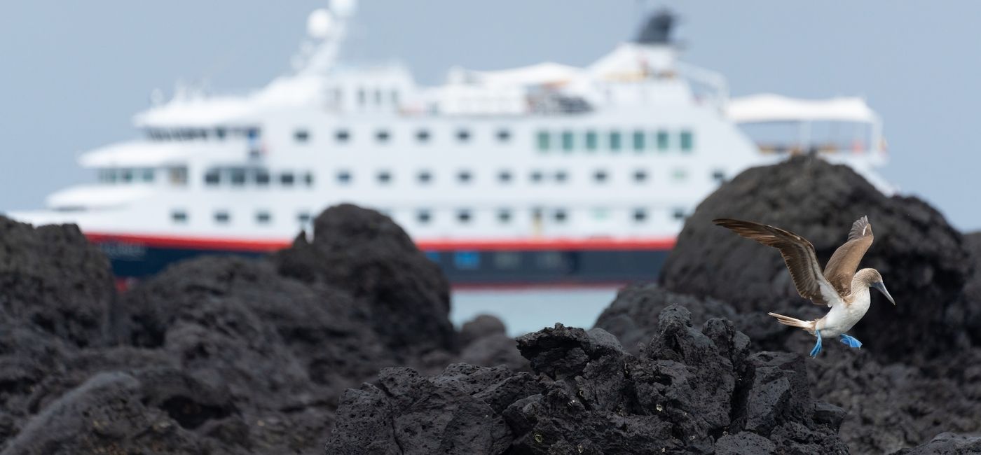 Image: MS Santa Cruz II (Photo Credit: John Chardine/HX)