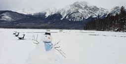 Jasper in January 2026