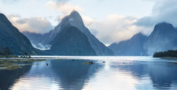The still waters of Milford Sound.