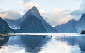 The still waters of Milford Sound.