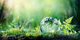 Eco Friendly travel, environment, sustainability, sustainable travel,