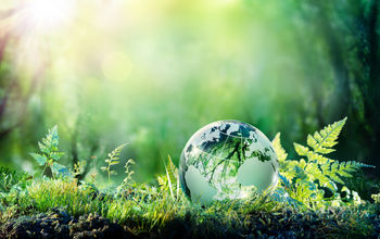 Eco Friendly travel, environment, sustainability, sustainable travel, 