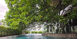 Aman Nai Lert pool
