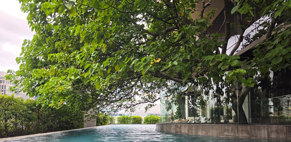 Aman Nai Lert pool