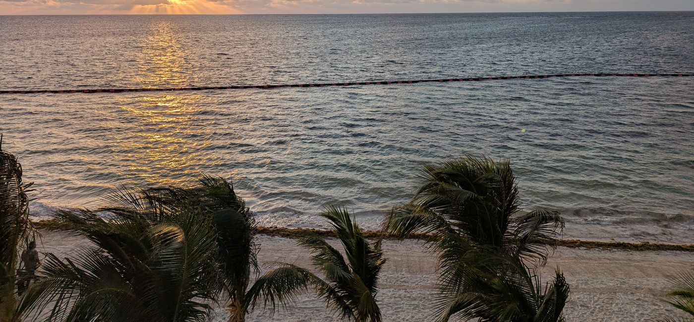 Image: Les autorités mexicaines redoublent aussi d'efforts pour empêcher cette algue malodorante d'atteindre le littoral (Photo Credit: Eric Bowman)