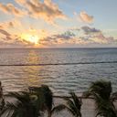 Mexico sargassum, sunset, beach,