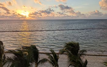 Mexico sargassum, sunset, beach,