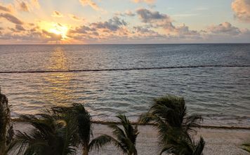 Mexico sargassum, sunset, beach,