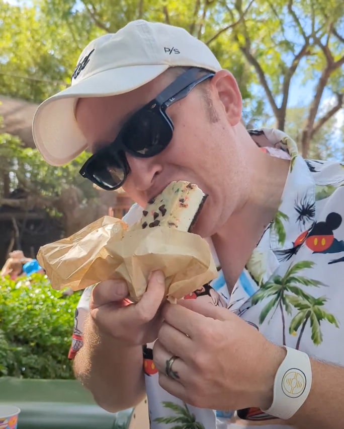 Disney World Cookie Dough Brownie Ice Cream Sandwich Cookie Dough Brownie Ice Cream Sandwich, Walt Disney World, Animal Kingdom, snack