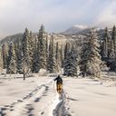 Snowshoeing at The Lodge at Blue Sky in Park City, Utah