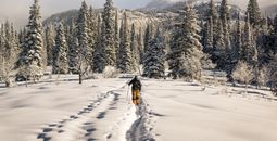 Snowshoeing at The Lodge at Blue Sky in Park City, Utah