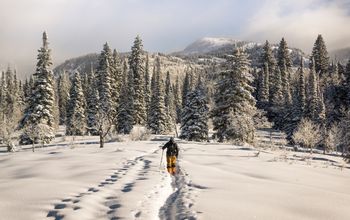 Snowshoeing at The Lodge at Blue Sky in Park City, Utah
