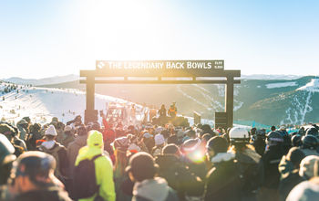 Vail Mountain's Back Bowls.