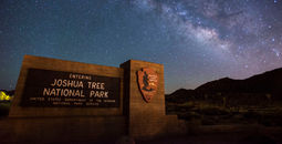 National Park, Joshua Tree