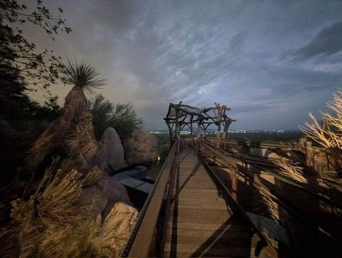 Cool Summer Nights at Arizona-Sonoran Desert Museum Cool Summer Nights at Arizona-Sonoran Desert Museum