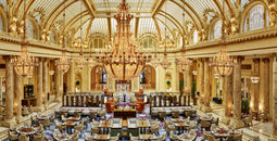 Overview of garden court with glass ceiling