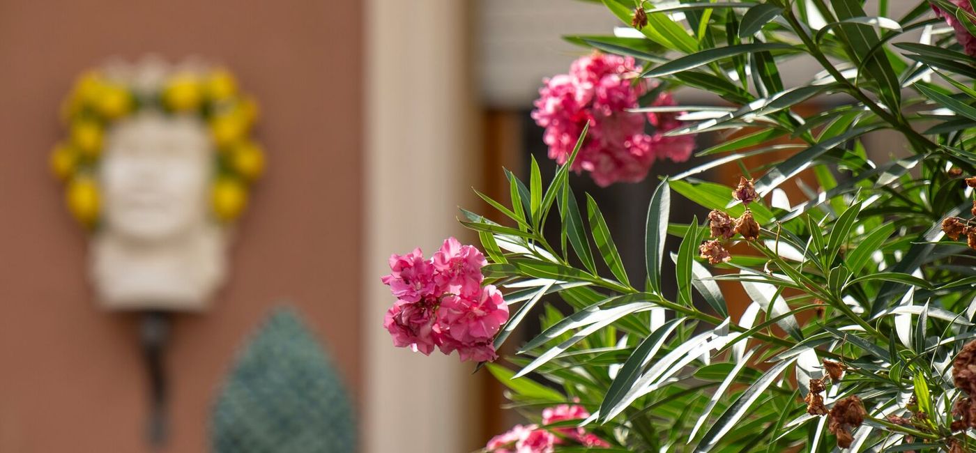 Image: PONANT EXPLORATIONS and Smithsonian Journeys are offering ocean cruises together in 2027 (Photo Credit: PONANT/Olivier Blaud)