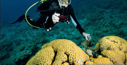 Dr. Sylvia Earle, Explora I, Explora Journeys, new cruise lines, cruise ship godmothers