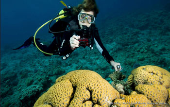 Dr. Sylvia Earle, Explora I, Explora Journeys, new cruise lines, cruise ship godmothers