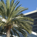 Hilton hotel in Southern California