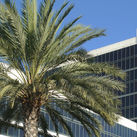 Hilton hotel in Southern California