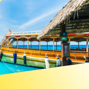 Caribbean