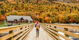 Autumn nature hiker walking in national park in Quebec