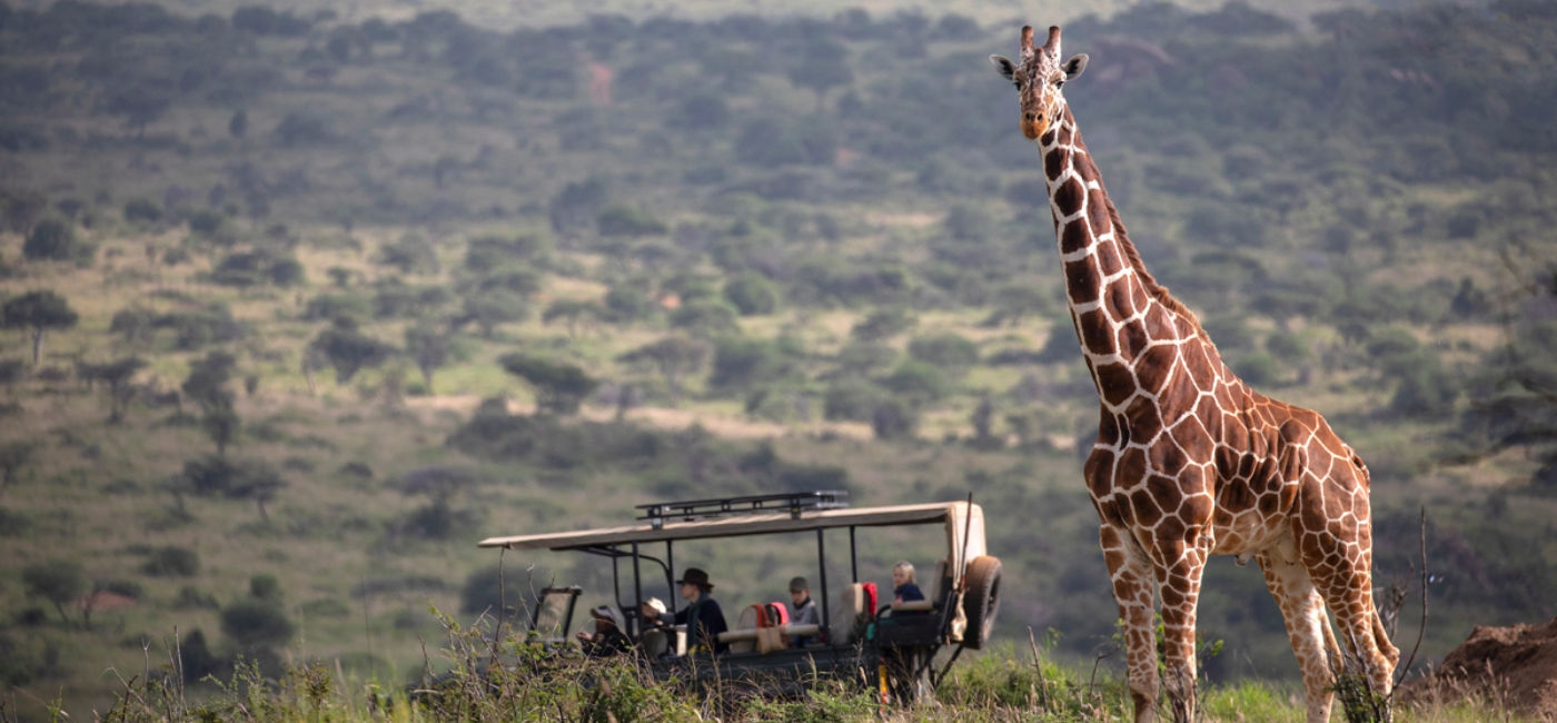 Image: An Elewana Game Drive in Kenya with African Travel, Inc. (Source: African Travel, Inc.)