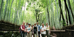 InsideJapan Tours, tours in Japan, Japan, Kyoto, japan tours, arashiyama, bamboo, bamboo forest