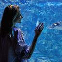 SeaWorld Orlando.