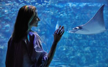 SeaWorld Orlando.