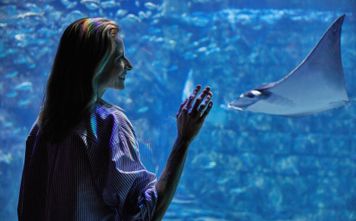 SeaWorld Orlando.