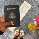 Passport and verified travel documents