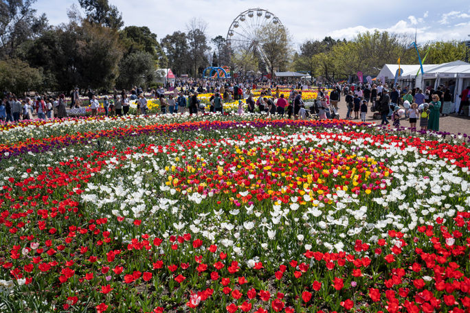 Destinations Famous for Their Blooms

Floriade, flower tourism, canberra, visit canberra