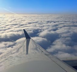 Plane wing
